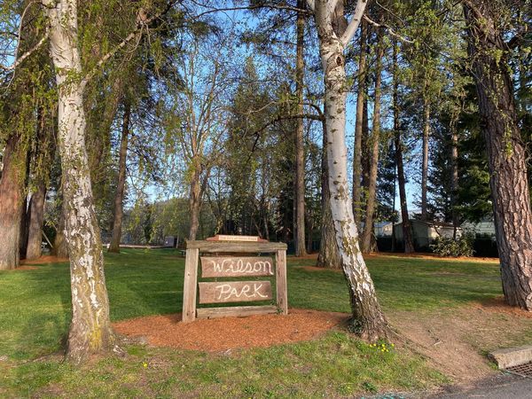 Wilson Park